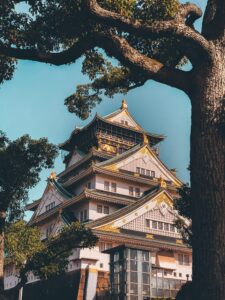 Osaka Castle framed by tree branches on a clear day, one of the city's best-known landmarks